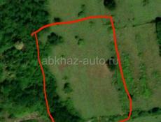 50 СОТОК БЕРЕГ МОРЯ