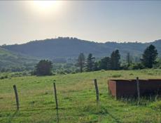 Цандрипш 45 сот