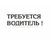 Ищу водителя для детей.