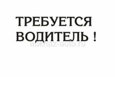Ищу водителя для детей.