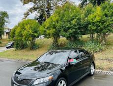 Toyota Curren
