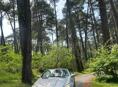 Mercedes-Benz CLK