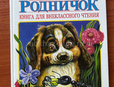 Школьные книги