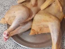 КУРОЧКИ 