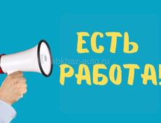Продавец в продуктовый магазин 