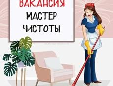 Требуется мастер чистоты 