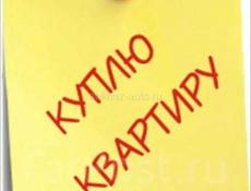 Куплю  квартиру однушку , двушку или трешку 