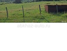 Цандрипш 45 сот