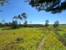 Срочно Улица Камо, 6 соток, красный крест. 