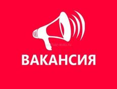 Логист 