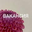 Требуется ФЛОРИСТ