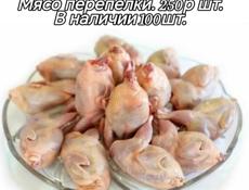 перепёлки 