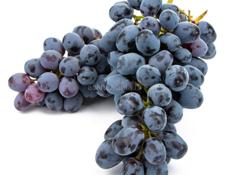 Продам Черный Виноград На вино. Цена: 50 рублей /кг