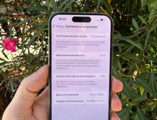 iPhone 15 Pro 256Gb 🔋91%