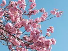 Срочно ищу вечернюю работу