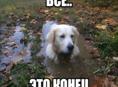 с