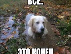 с