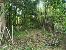 Участок у моря 6 соток по ул.Инал-Ипа