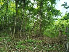 Участок у моря 6 соток по ул.Инал-Ипа