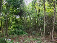 Участок у моря 6 соток по ул.Инал-Ипа