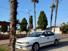 Toyota Corona