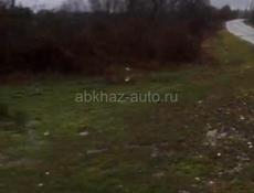 Большой участок 1.5 гектара