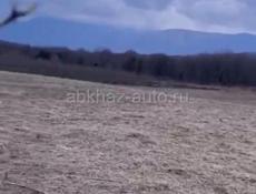 Большой участок 1.5 гектара