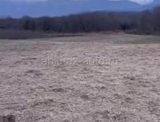 Большой участок 1.5 гектара