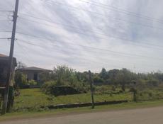 Прям по трассе !