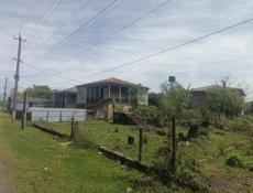 Прям по трассе !