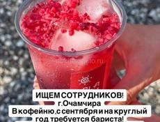 Требуется  бариста 