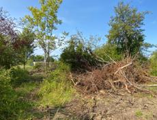 УЧАСТОК 6 СОТОК ЦАНДРИПШ