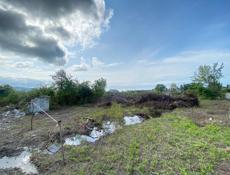 УЧАСТОК 6 соток ЦАНДРИПШ