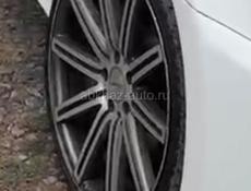 R20 vossen
