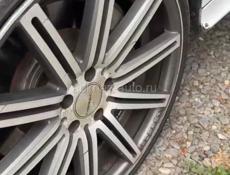 R20 vossen