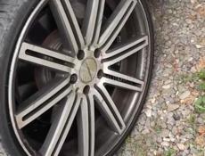 R20 vossen
