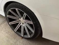 R20 vossen