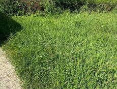 УЧАСТОК 6 СОТОК В СУХУМЕ НА НОВОМ РАЙОНЕ  ЗА 1 млн.₽