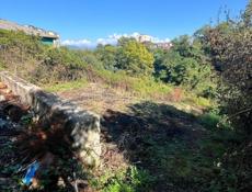 Цена подарок.