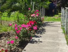 Частный сектор