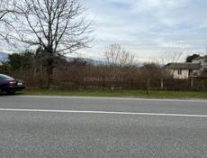 Гудаута Белая Речка