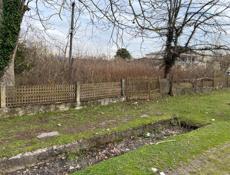 Гудаута Белая Речка