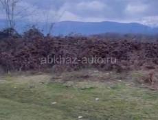 Участок 1,5 гектара с. Гуп