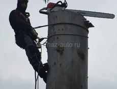СПИЛ Аварийных ДЕРЕВЬЕВ 