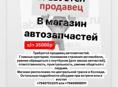 Продавец автозапчастей 