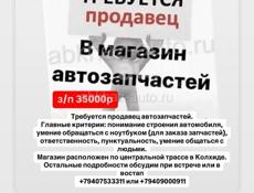 Продавец автозапчастей 