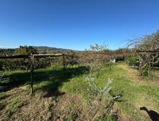 Земельный участок 30 соток 