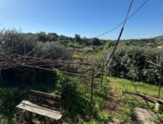 Земельный участок 30 соток 