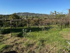 Земельный участок 30 соток 