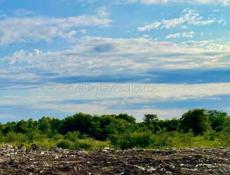 УЧАСТОК 1 ГЕКТАР В С. ХЫПСТА